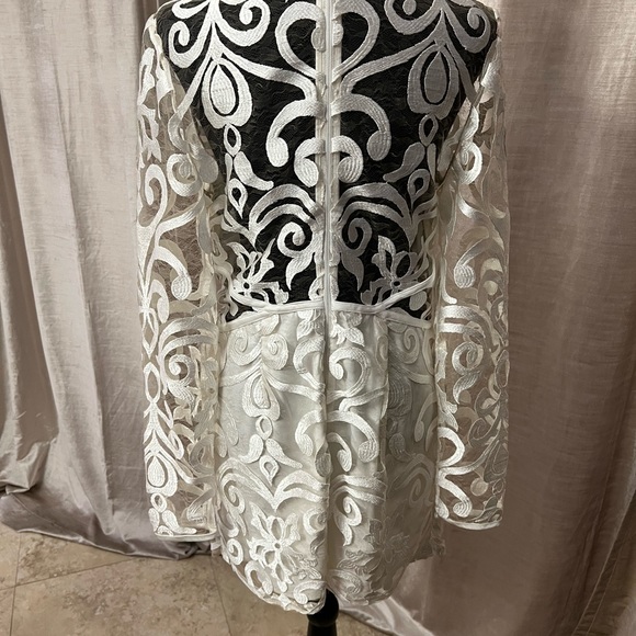 Lace See Thru Finders Mini Dress - Picture 3 of 4